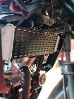 Kühlerschutz Honda CB 125 R 2018 - 2023