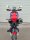 CRF 300 L / Rally  2021 - 2026 Kennzeichenträger REVO