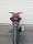 Honda CB 500 Hornet 2016-2026 REVO Short